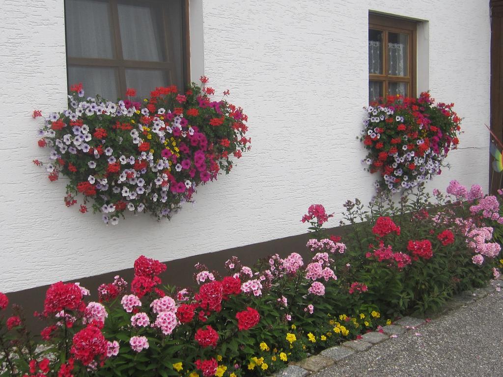 Erwachsenen Aparthotel Naturidyll - Der Wieserhof Bad Fussing Exterior photo